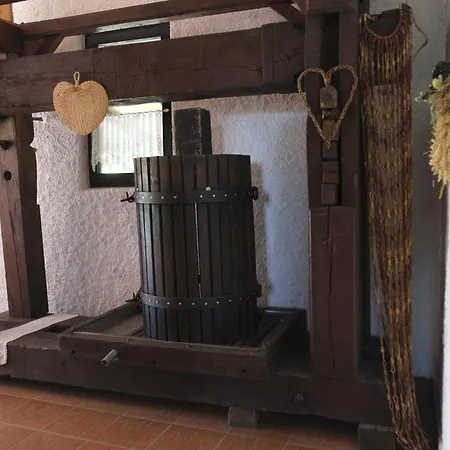 Anika's Wine Press *